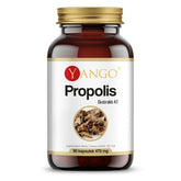 Extrait de propolis 4 : 1 90 gélules NOW FOODS